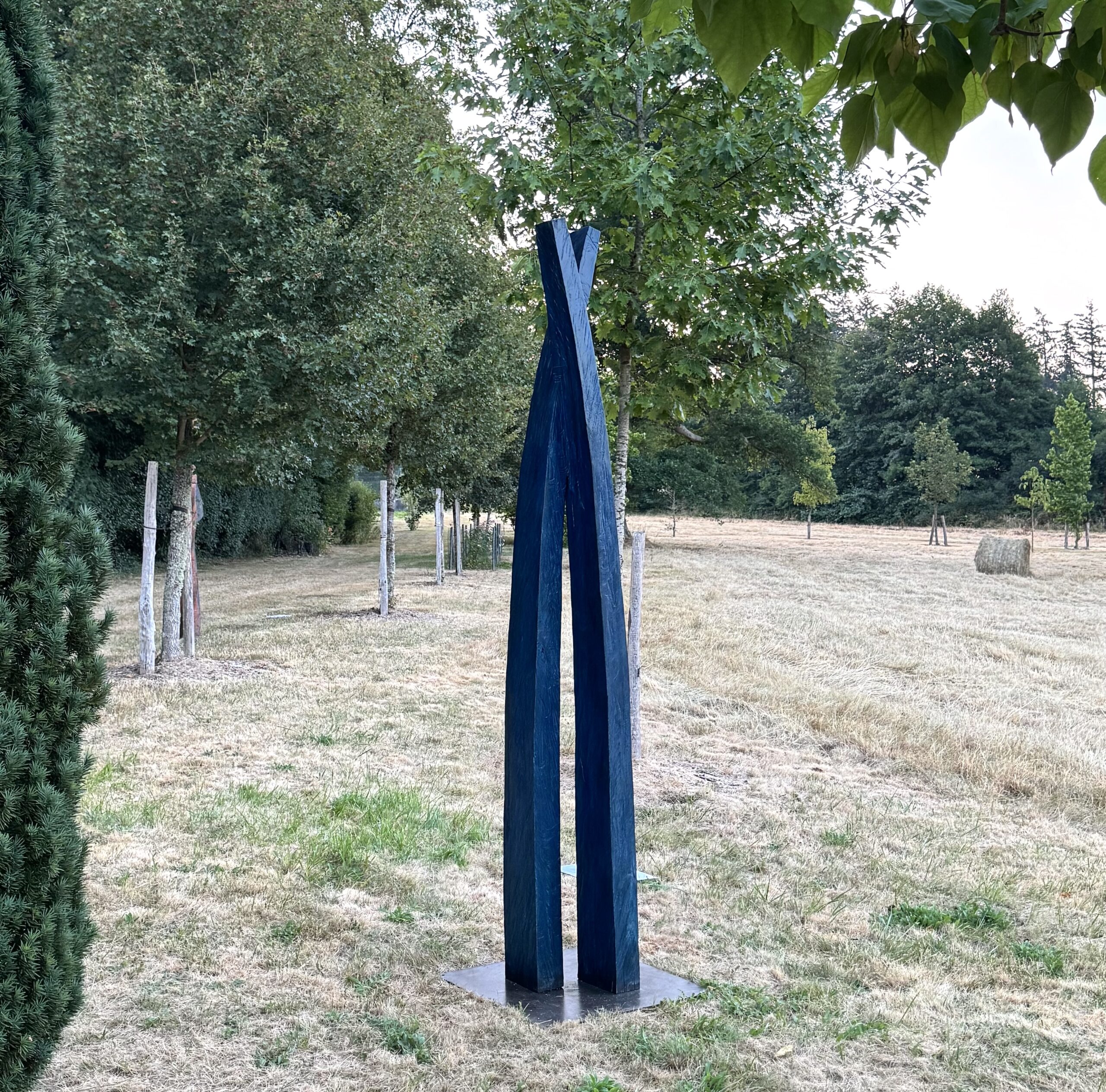 Croisée de Bruno Bienfait